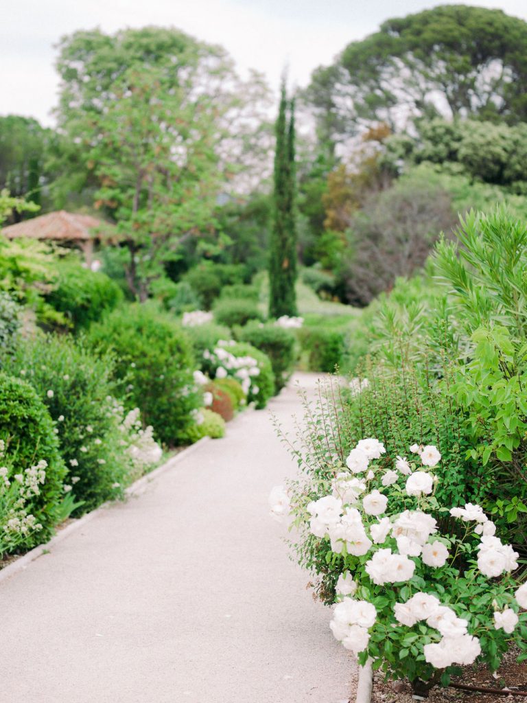 Shooting-L'Art Qui Pousse