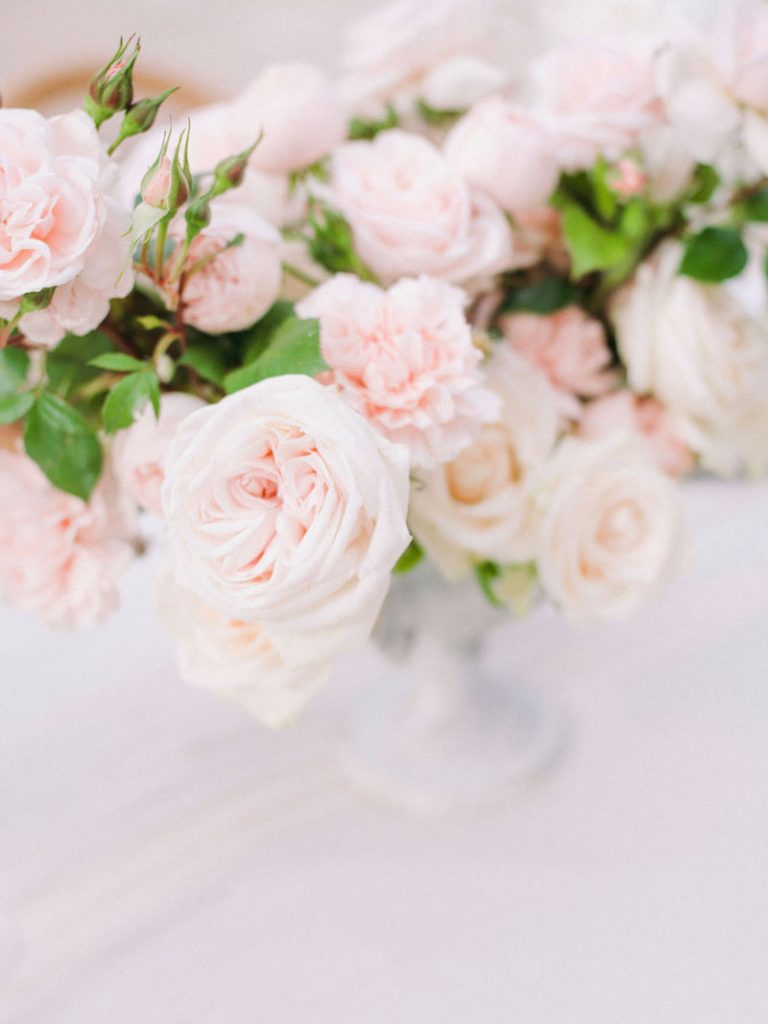 Shooting-L'Art Qui Pousse